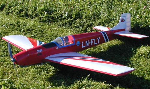a toy plane sitting in the grass on a sunny day