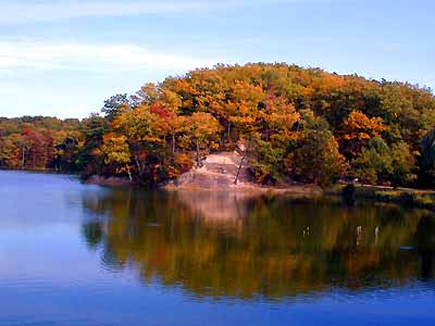 trees stand in the foreground as a lake is pictured in the background
