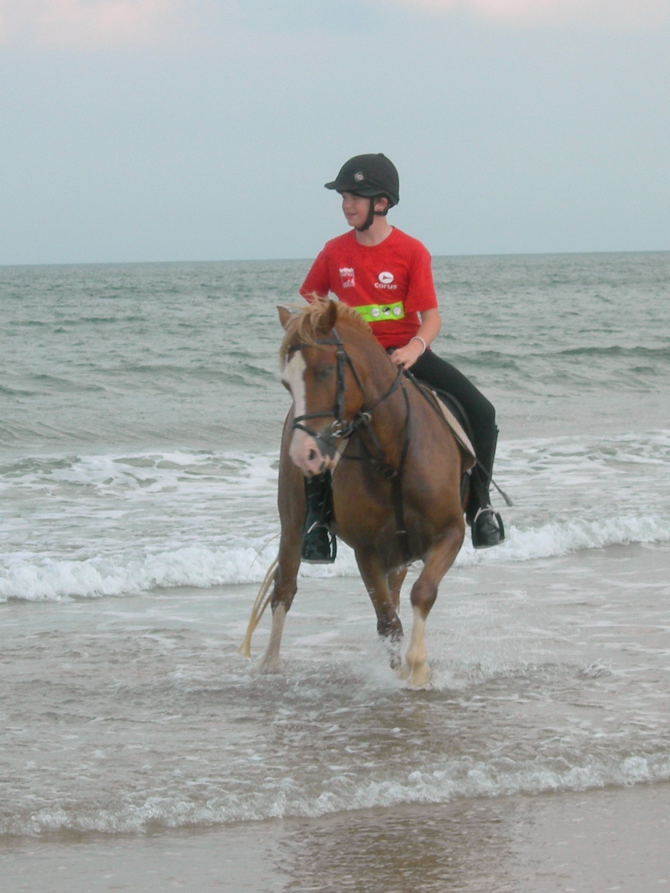 a  riding a horse on the beach