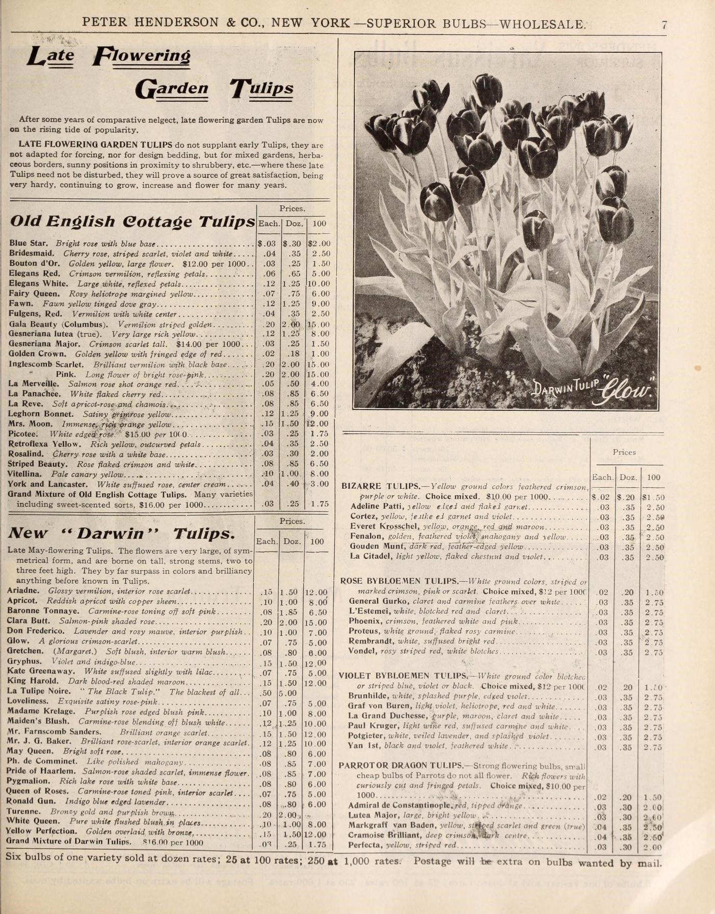 an old magazine shows an image of flowers