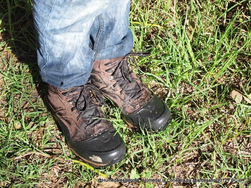 a person is wearing dirty shoes in the grass