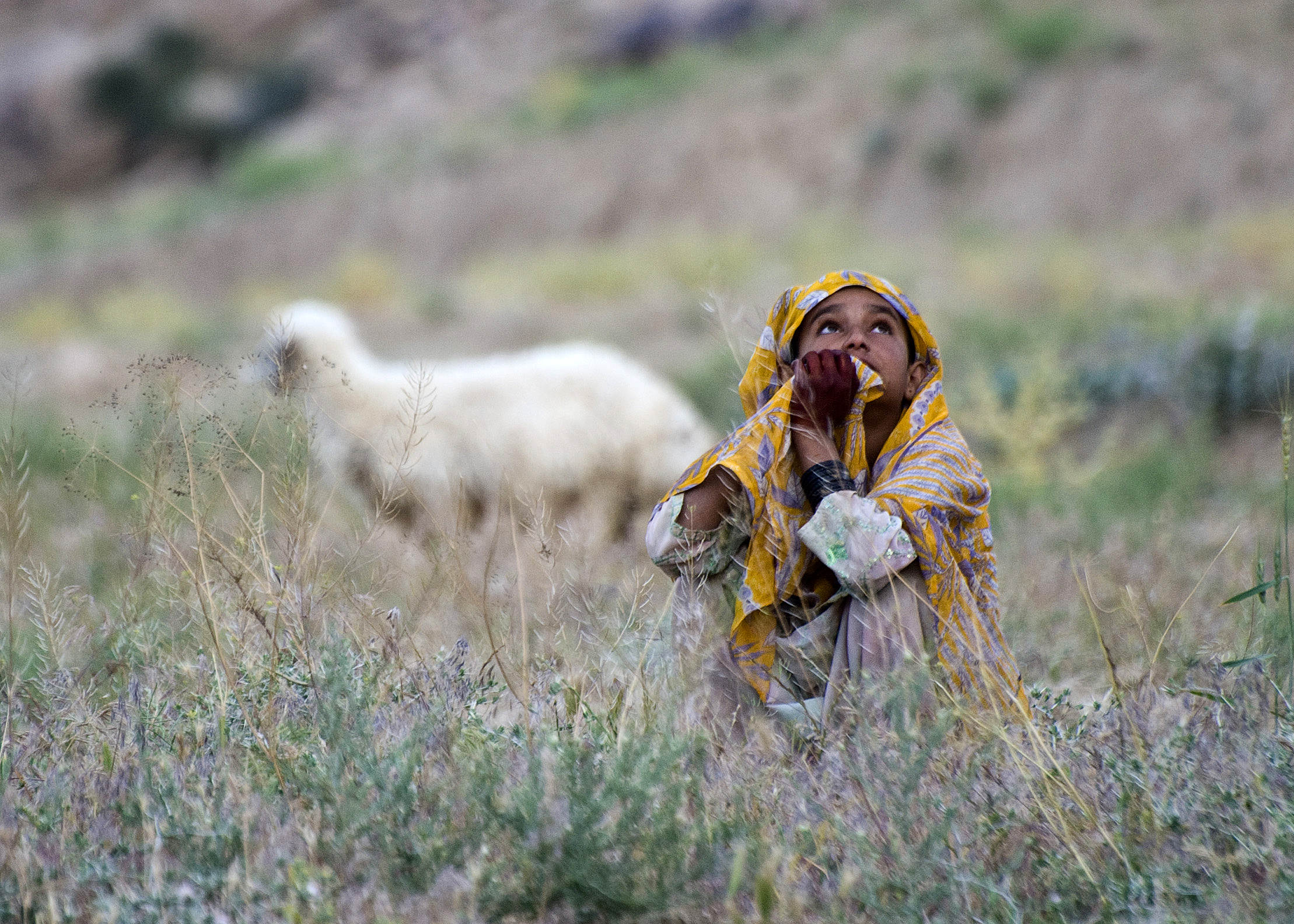 a woman with an old hand covering her mouth stands in a field with sheep
