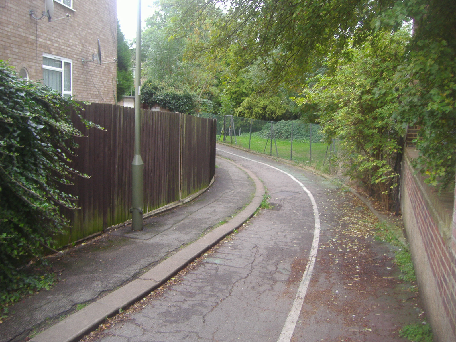 an outside view of a road with a fence, shrubs and trees