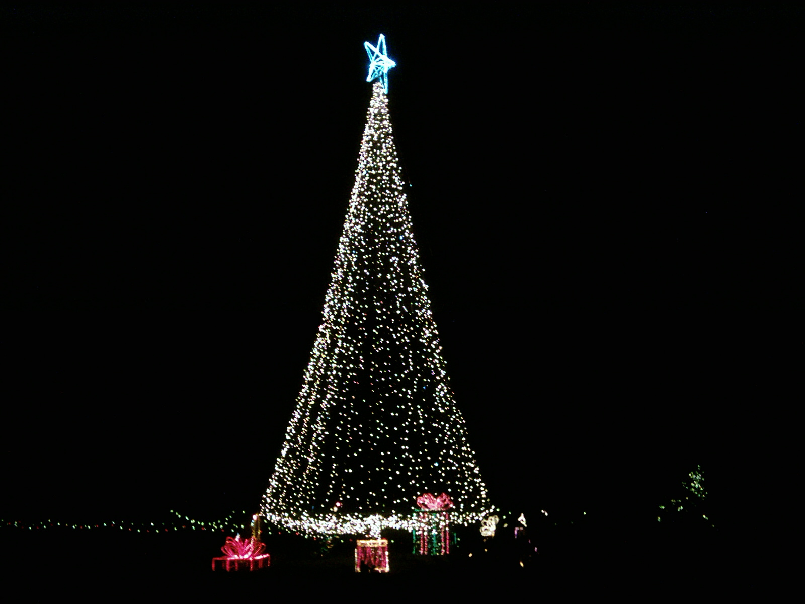 a large lit up tree sitting in the middle of a dark field