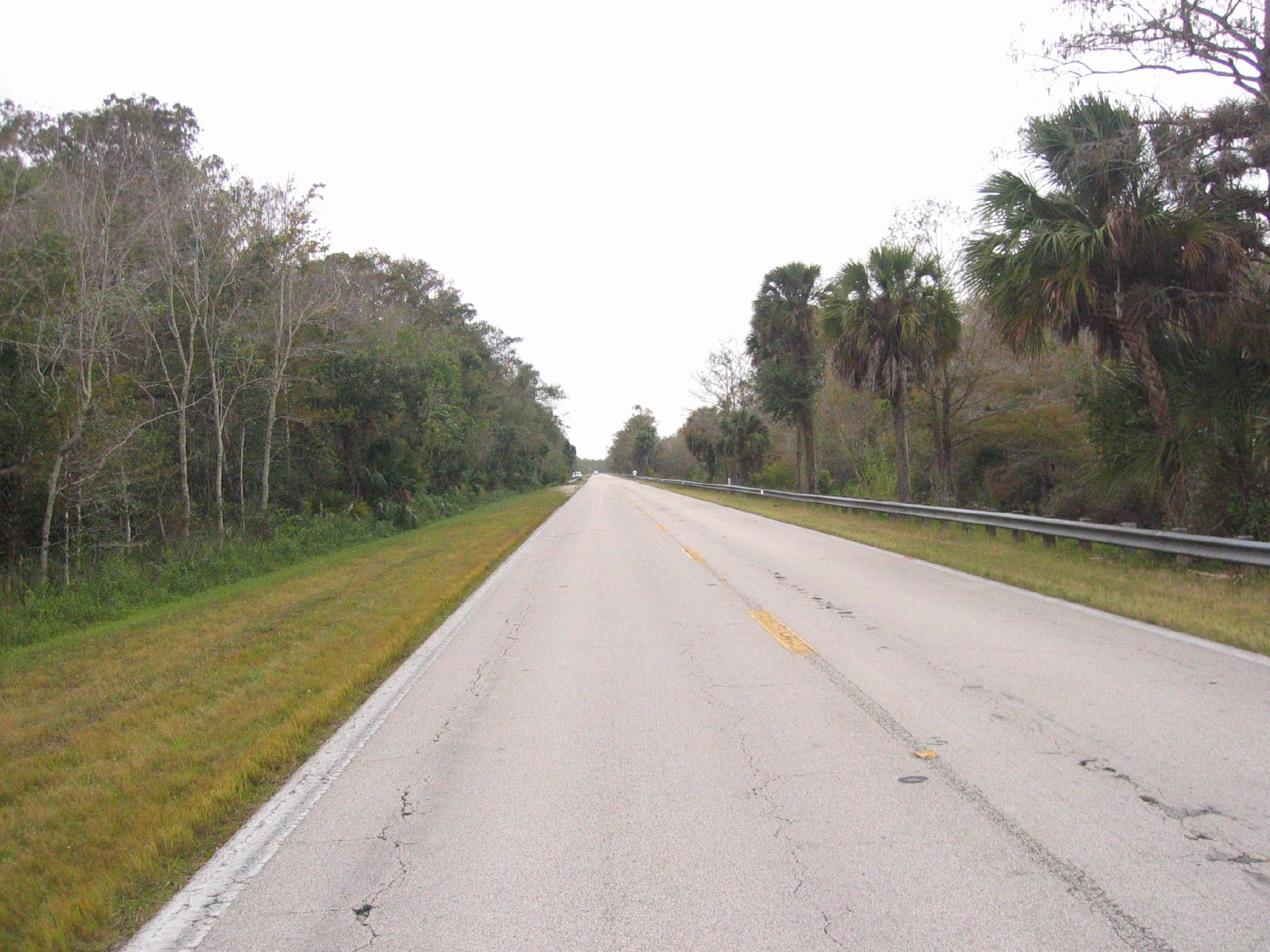 the deserted road is paved with trees and grass