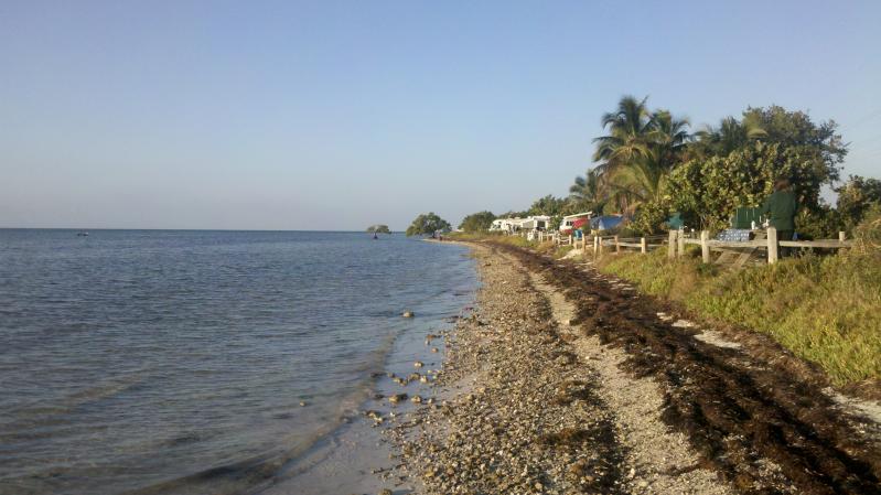 a beach and shoreline in the coastal region
