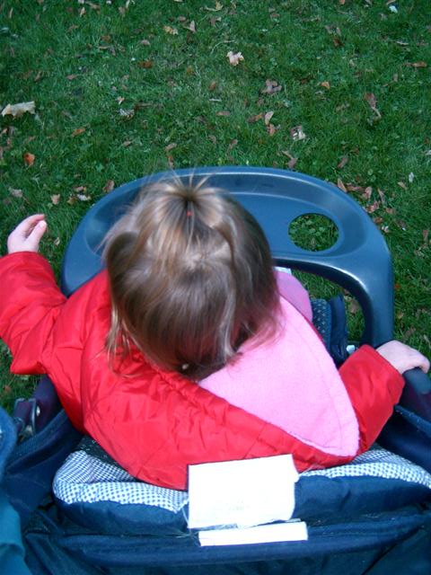 a girl sitting in a chair on the grass