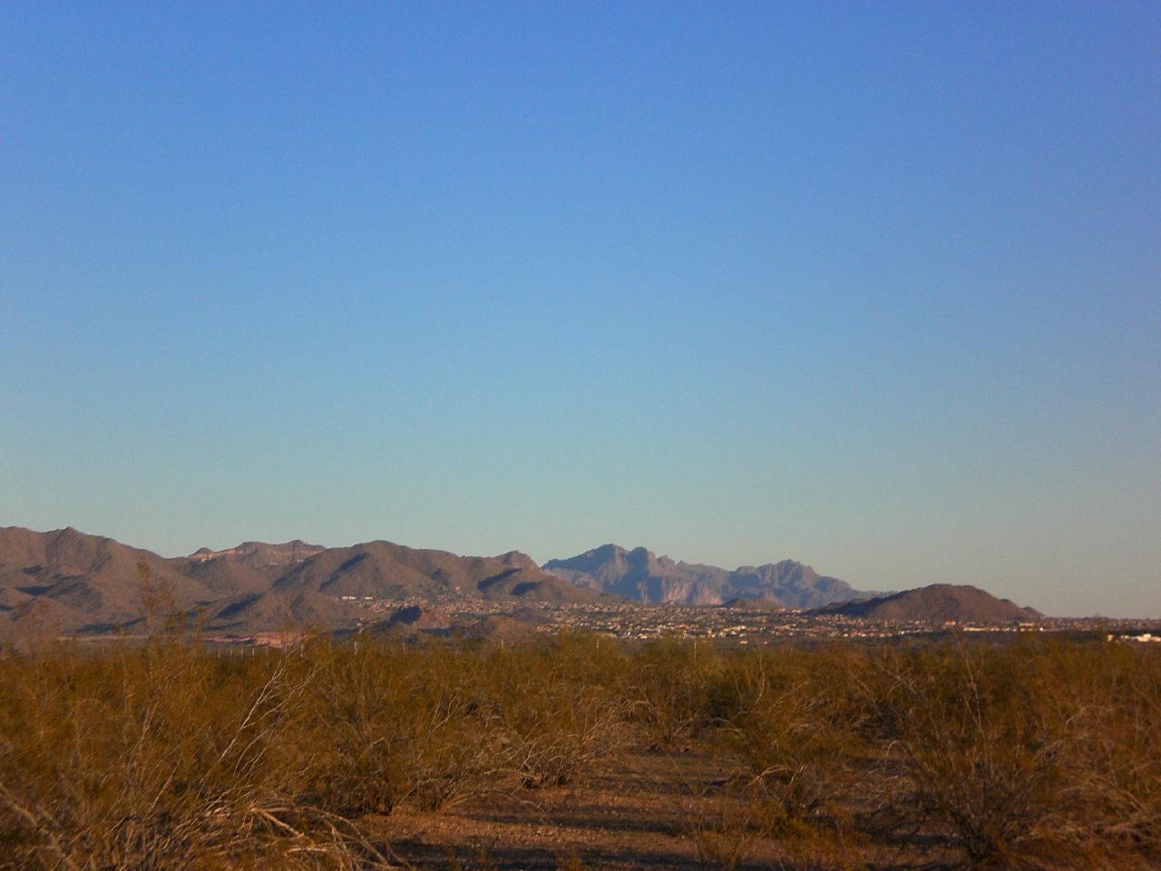 a field with bushes and mountains in the distance