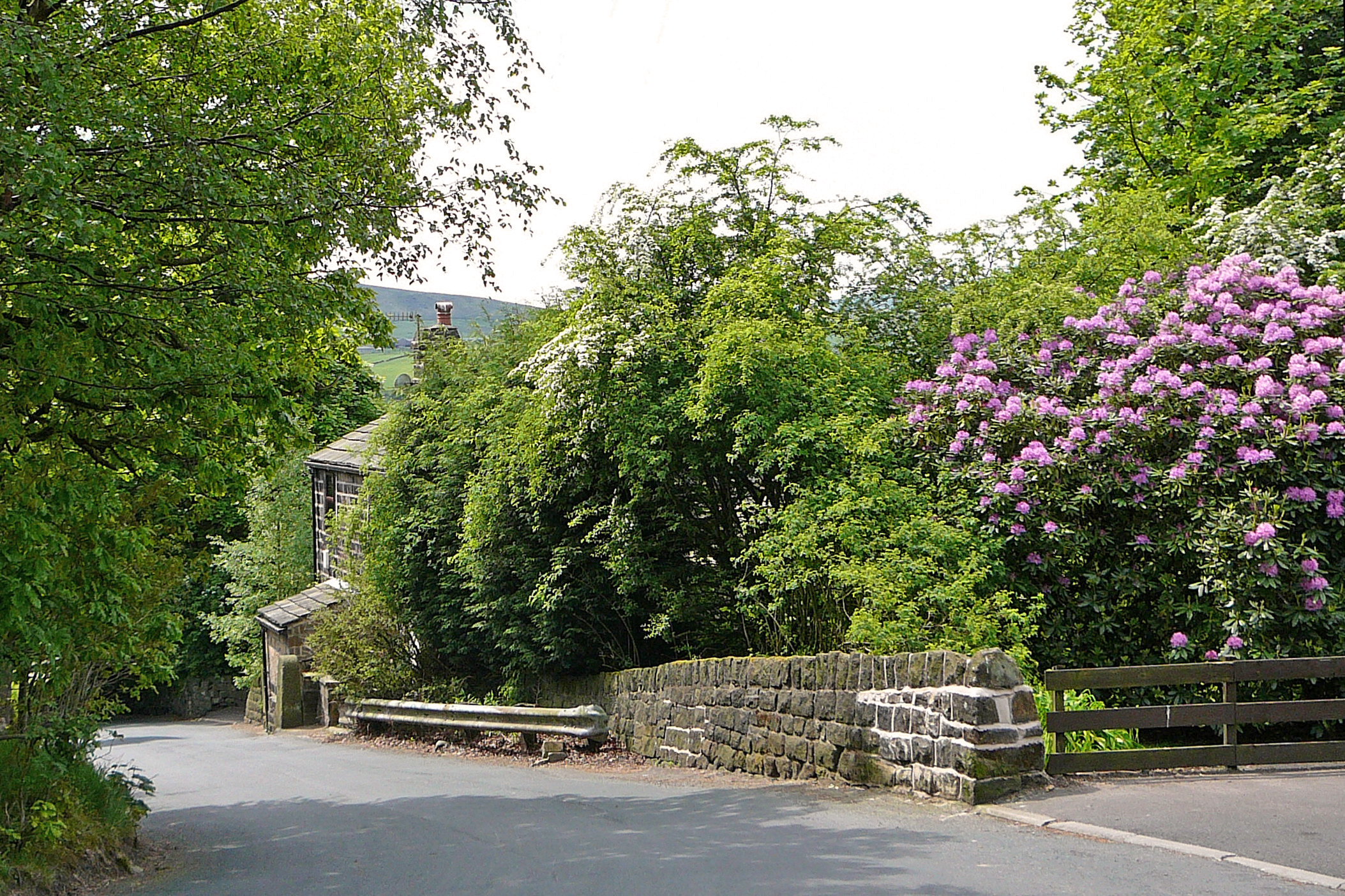 a stone wall on the side of the road with flowers and trees