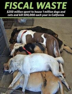 several dogs are sleeping on a tile floor