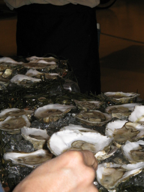 an person is reaching for oysters on the ground