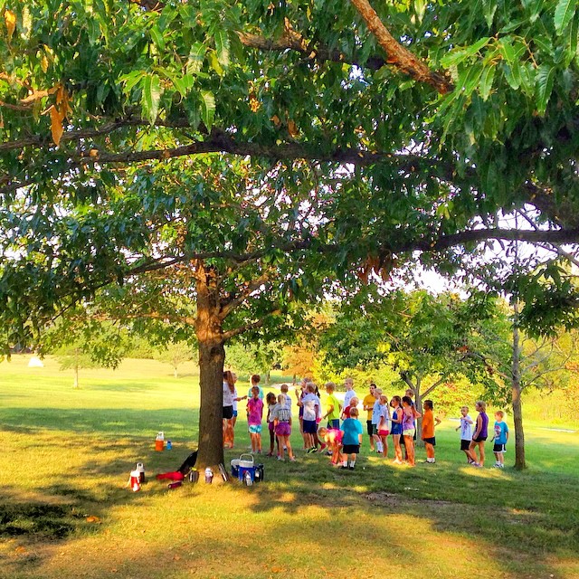 a large group of people who are standing near a tree