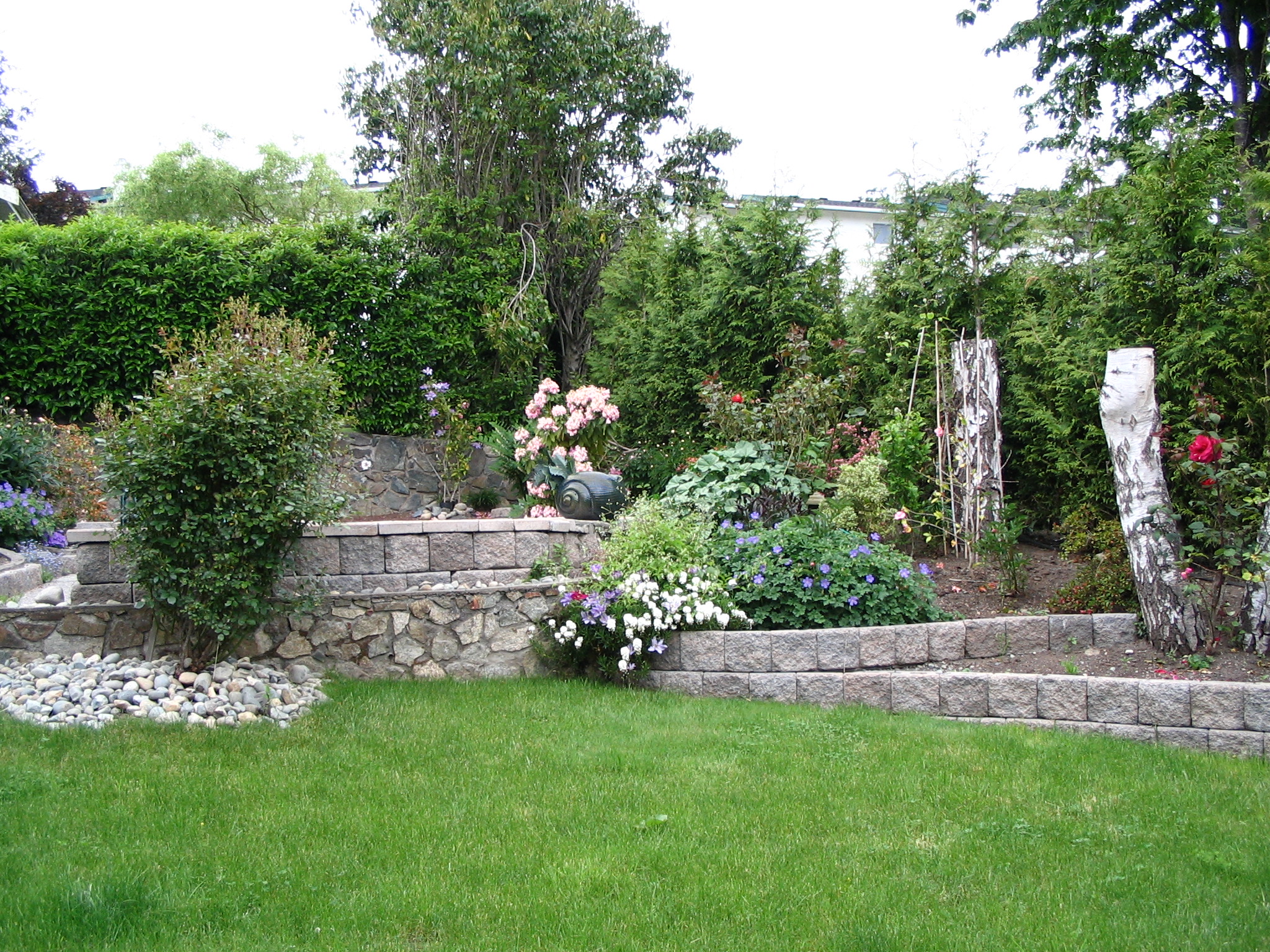 an elevated rock wall is on display in this green garden