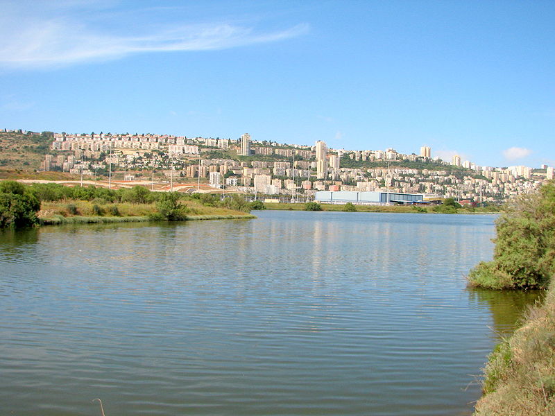 the view of the city in the distance from a small body of water