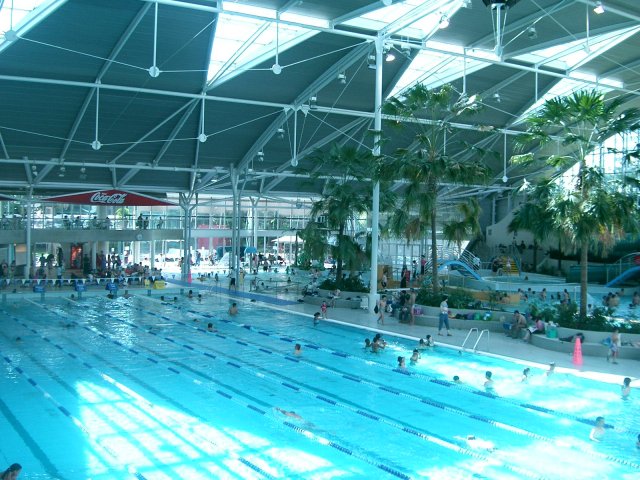several people in a swimming pool with some trees in the background