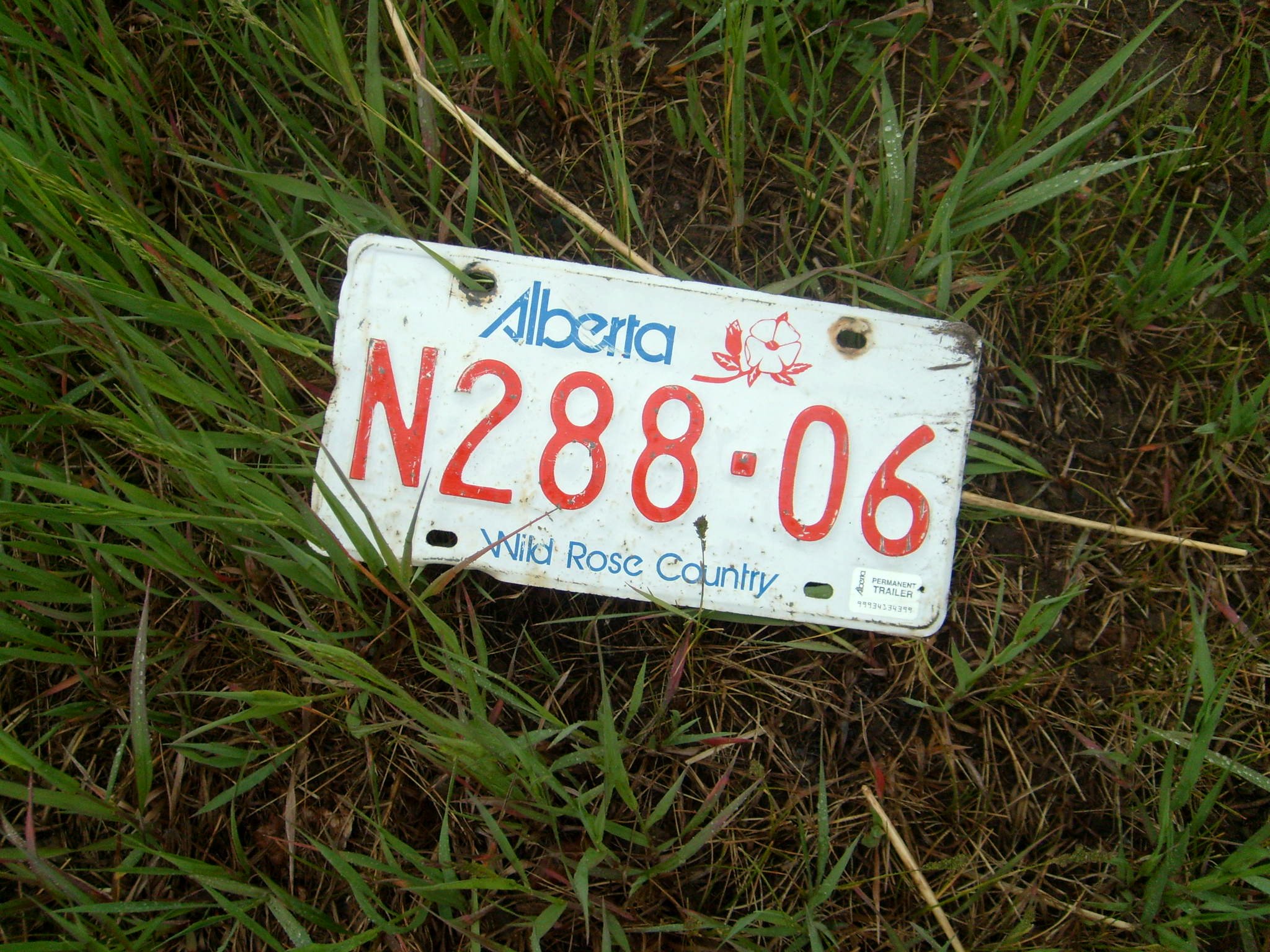 a white plate lying in some grass and the word alaska was written on it