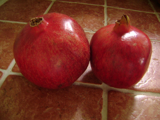 a pair of red apples sitting on a tiled floor