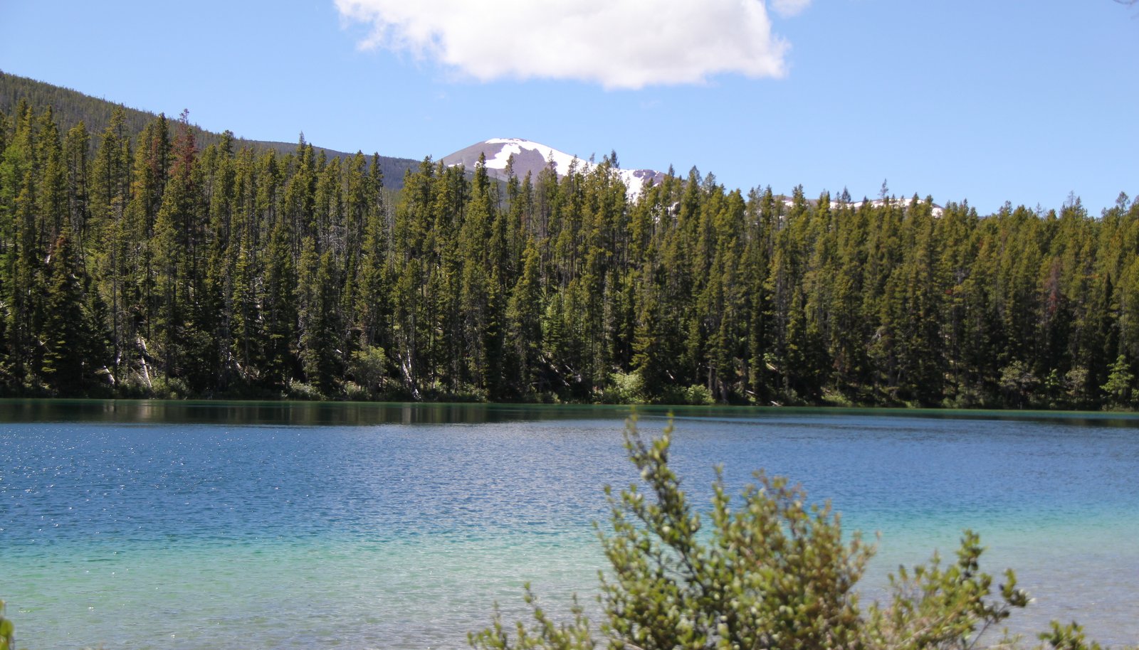 there is a lake that is surrounded by trees