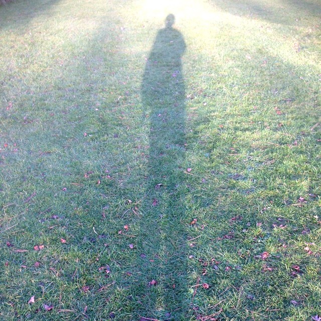 a person standing in the grass casting a long shadow