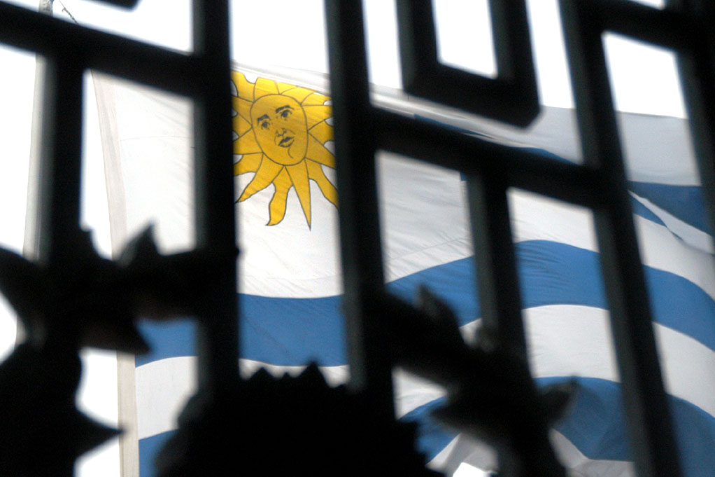 the flag with a bear and sun emblem is viewed through a grilled fence