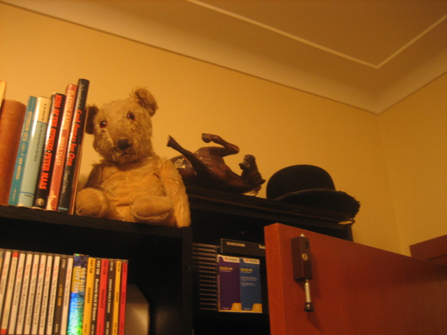 a teddy bear is sitting on top of bookshelf