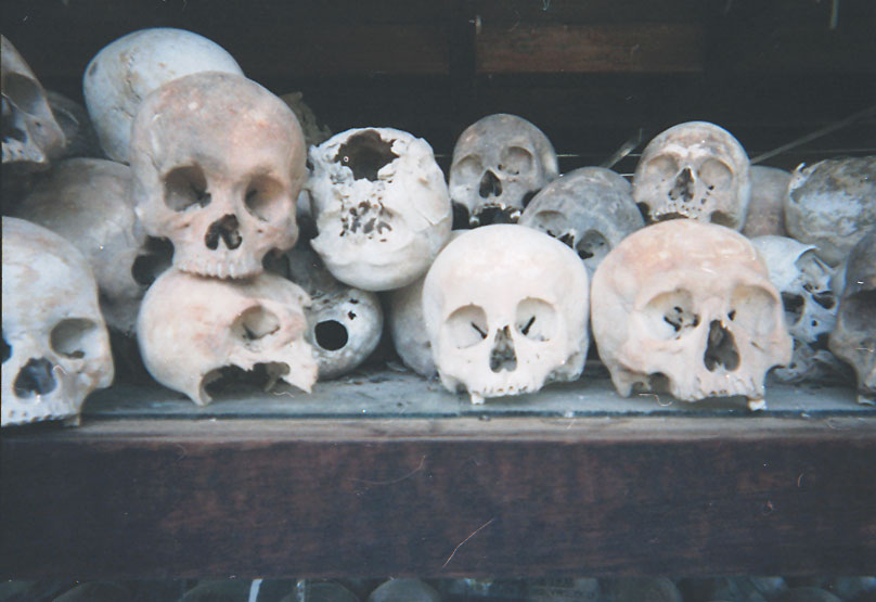 many human skulls that are on display in the store