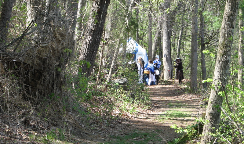 people hiking along a wooded path during the day