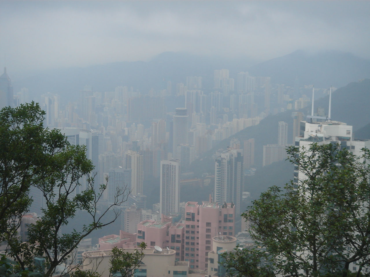 a city scene on a hazy day, with trees in the foreground