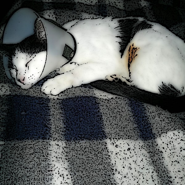 a cat lying on a bed wearing a helmet