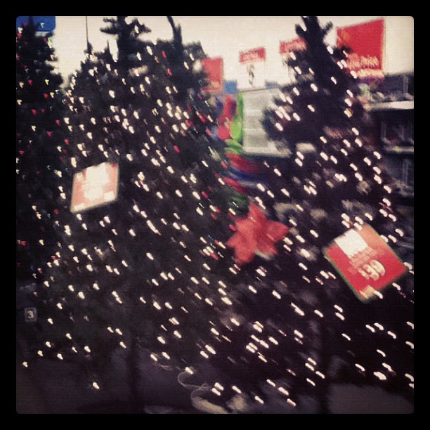 a bunch of christmas trees sit in a store