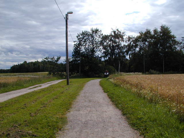 a narrow, dirt path with green grass on each side
