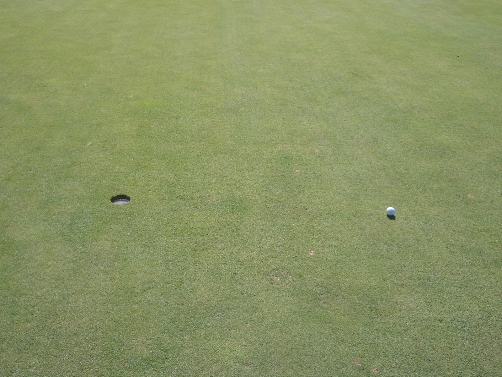 two ball and tee balls laying on a grass field