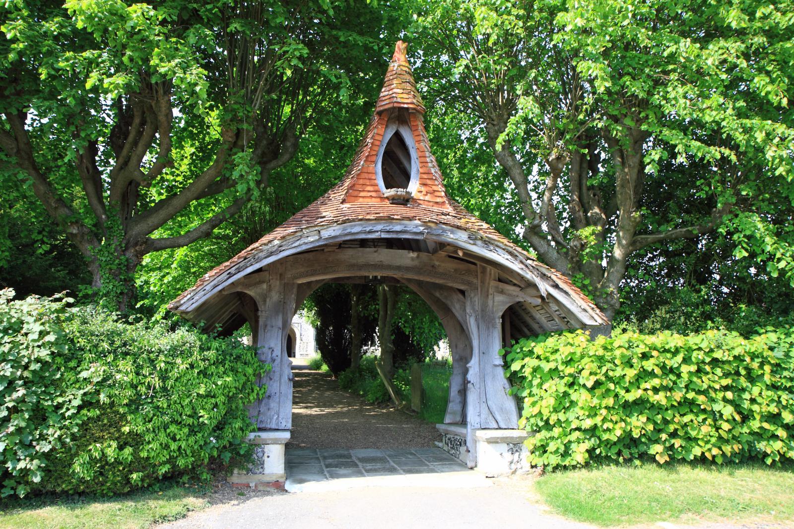 a garden in the forest with many trees