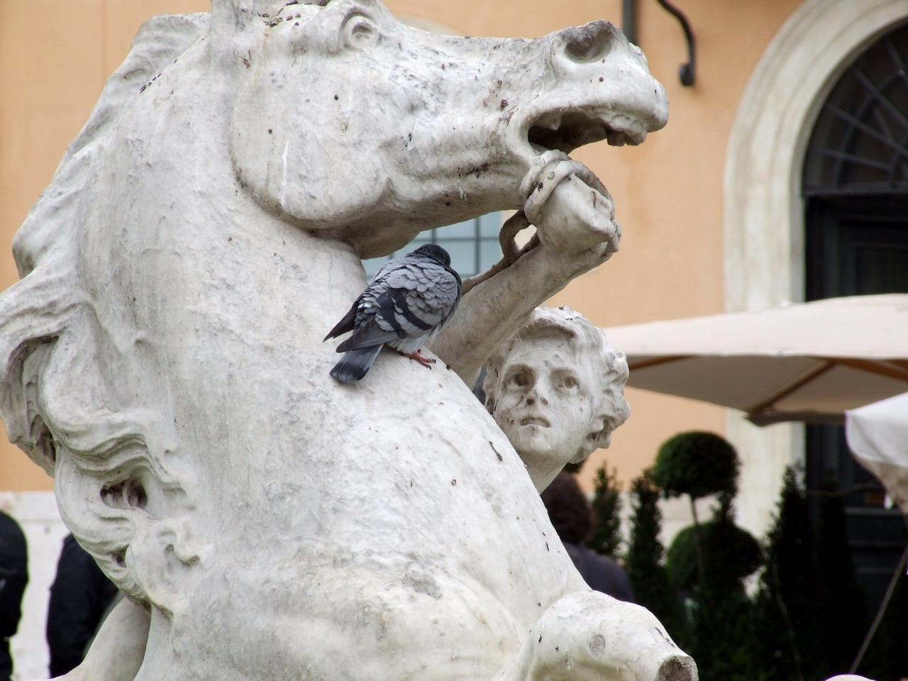 a bird that is sitting on a horse statue