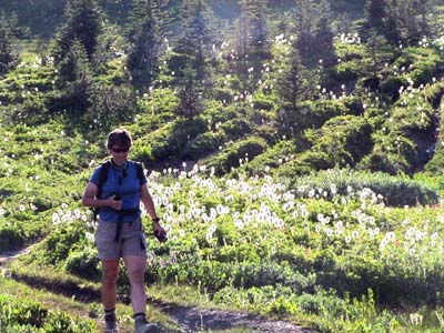 woman hiking down a trail through a meadow covered with wildflowers