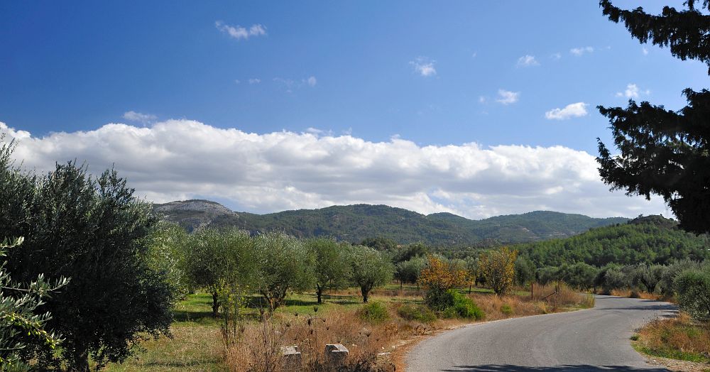 the winding road is a very scenic drive