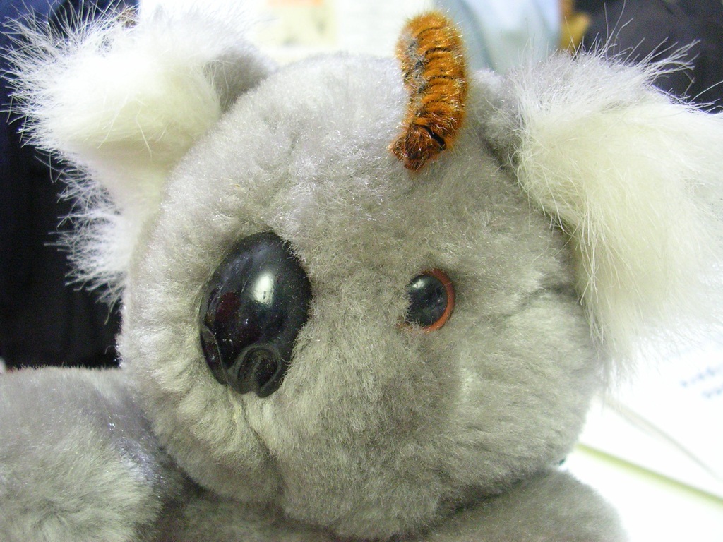 a koala with a tiny nose and ear ring