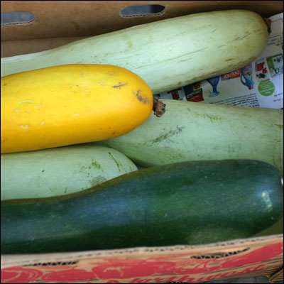 a large cucumber and two other produce items