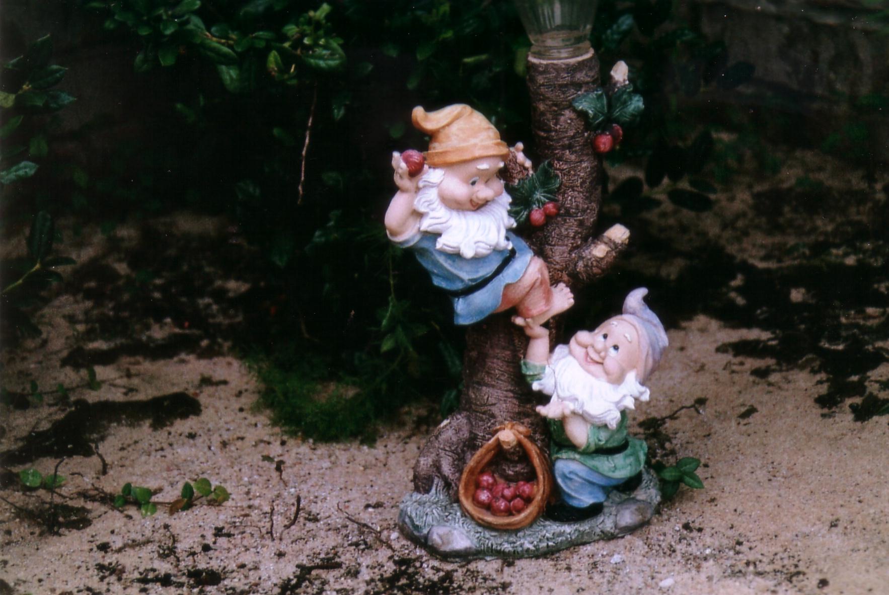 there are two little gnomes on the nch of a tree