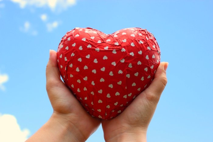 a person holding a heart shaped object in their hands