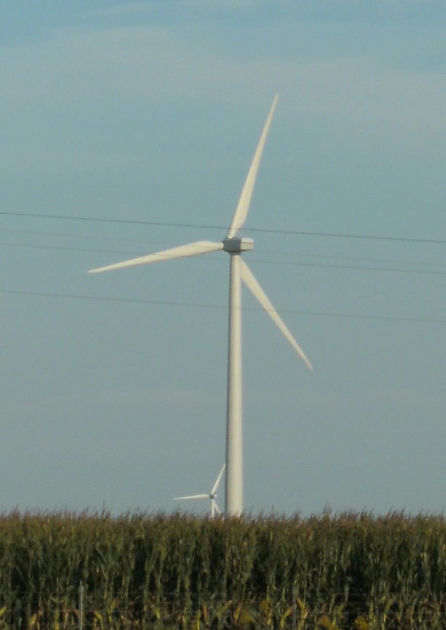 a group of windmills that are in the grass