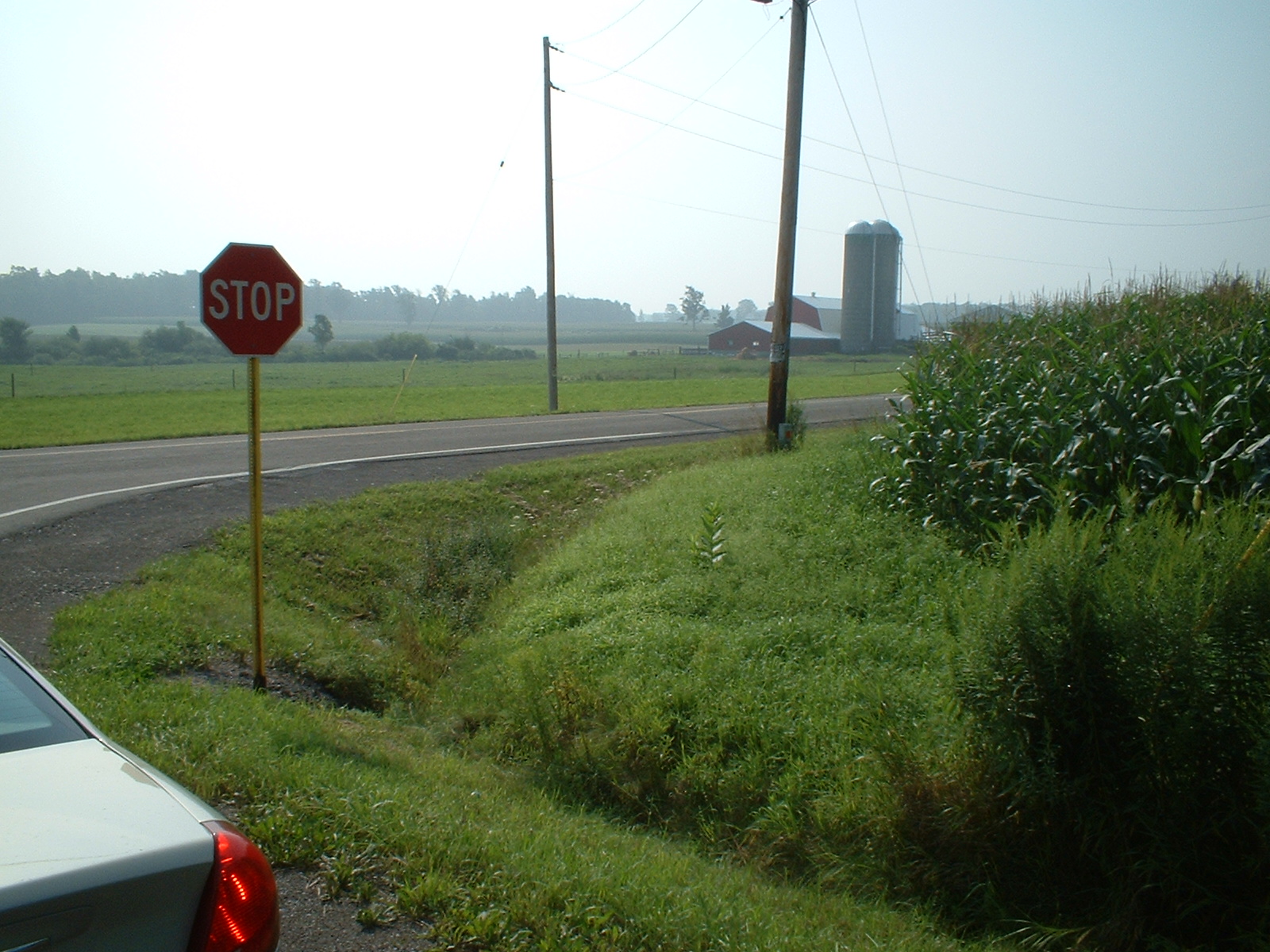 there is a stop sign next to the road