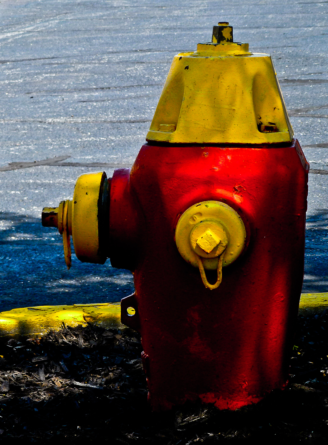 an image of a fire hydrant sitting in front of water