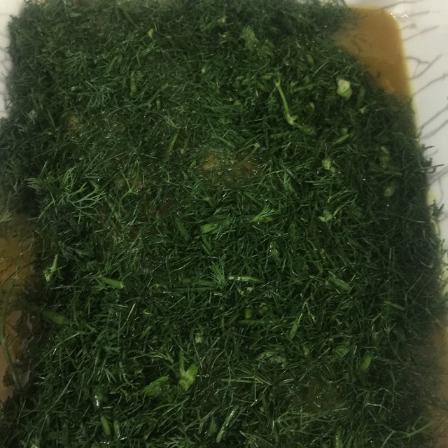 a bunch of grass with green patches is sitting on a plate