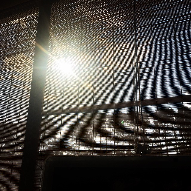 a view of the sun shining through some windows