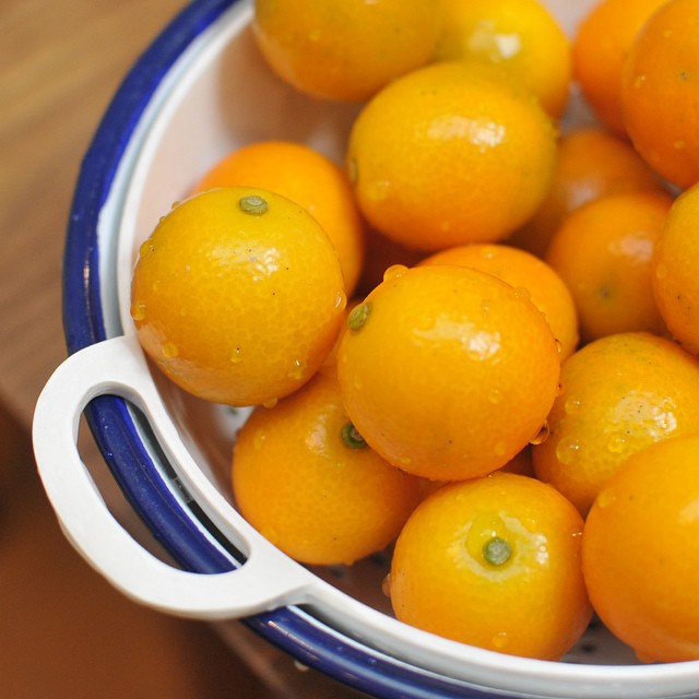 a blue and white bowl containing oranges on a table