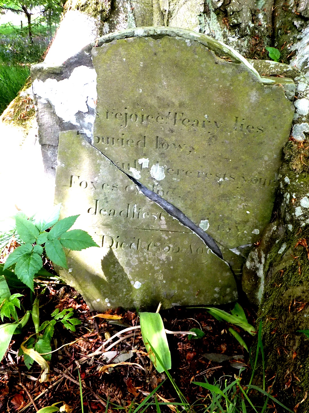 a grave on grass beneath a tree with a writing on it