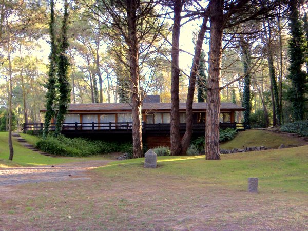 the view of the house from the forest area