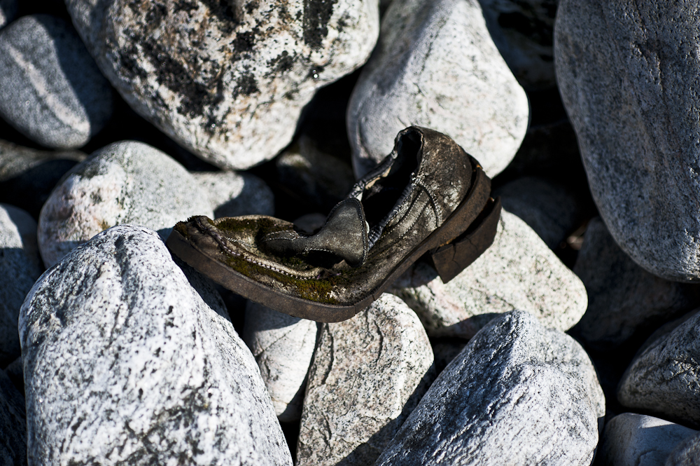 a pair of shoes that is on some rocks