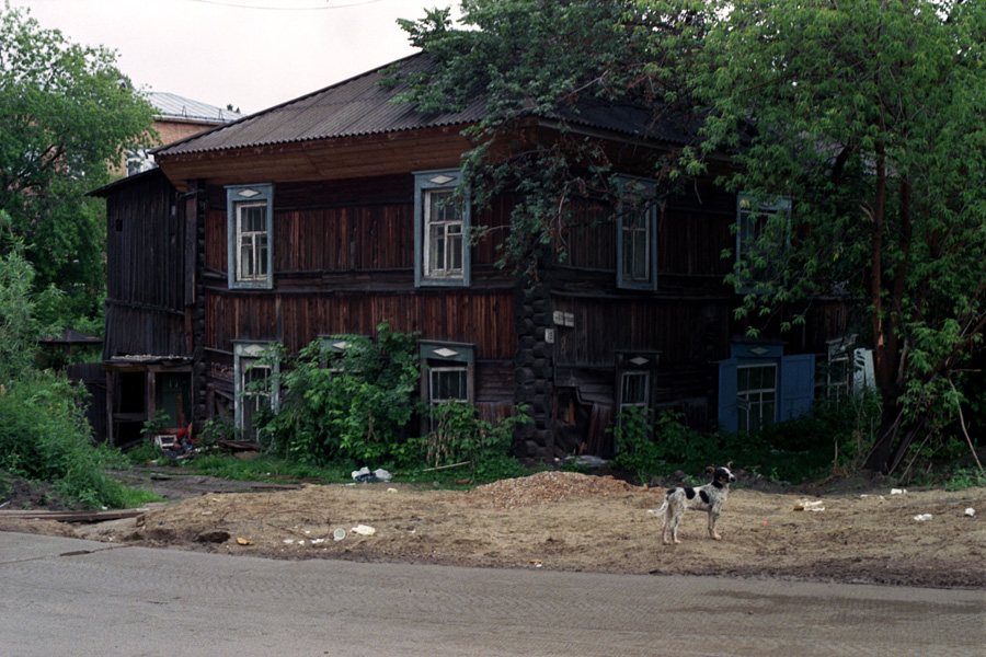this is an old wooden house with a dog